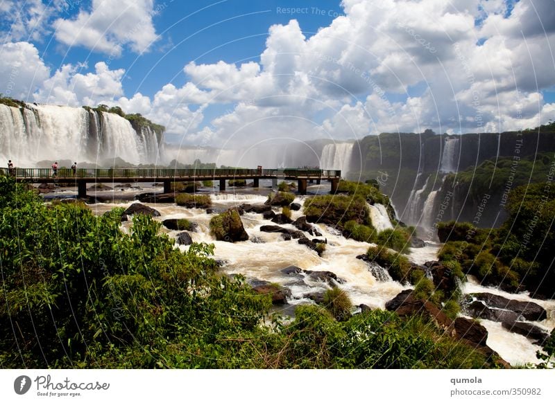 Foz do Iguazu - Brasilien Seite Umwelt Natur Urelemente Wasser Wolken exotisch Wasserfall Iguazu Fälle Iguazu NP Energie Erholung innovativ Macht grün