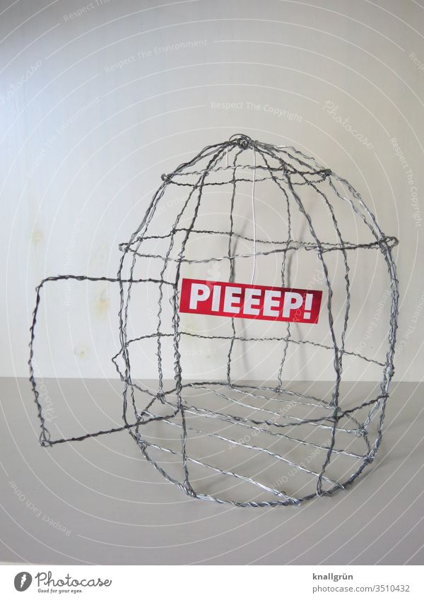 Leerer DIY-Vogelkäfig aus Draht mit offener Tür, innen nur noch ein Schild mit dem Wort „PIEEEP“. selbstgemacht Basteln lustig witzig Buchstaben Piep Flucht weg
