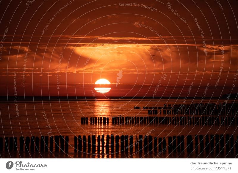 Sonnenaufgang an der Ostsee II Meer Wellenbrecher Himmel Dramatik Wasser Außenaufnahme Wolken Farbfoto Horizont Sonnenuntergang Dämmerung Strand Sommer Küste
