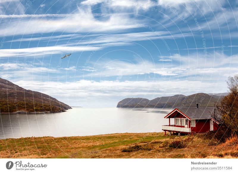 Stille am Fjord ferienhaus fjord meer wasser berge küste ozean wohnen bungalow wiese frei freiheit gebirge menschenleer möwe vogel entschleunigung ruhe
