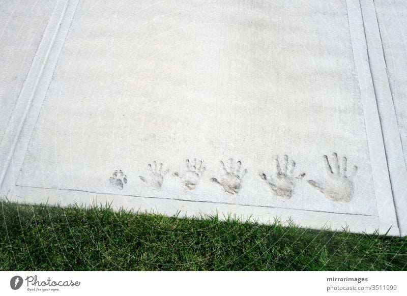 Familienmoment in Beton eingefangen mit Handabdrücken auf dem Zement-Bürgersteig von klein bis groß und mit dem Pfotenabdruck eines Familienhundes lustig Spaß