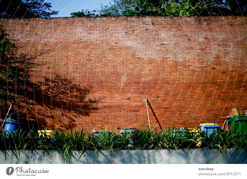 Kopie Raum Ziegelwand Mülleimer Textfreiraum Backsteinwand Wand Besen Umwelt Pflanze Schatten Reinigen im Freien Objektgruppe Tag sonnig nachhaltig