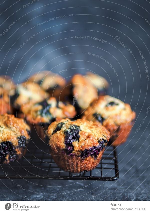 Hausgemachte Blaubeer-Muffins auf dunklem Hintergrund. Blaubeeren Kopie blau Raum Beeren eifrei Amerikaner Essen zubereiten Textfreiraum selbstgemacht