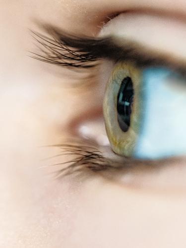 Jungenauge Kindheit Auge Wimpern grün blau Farbfoto Blick Haut Detailaufnahme Makro sensibel empfindliche Haut wachsam Wegsehen Gesicht Mensch 1 Kopf