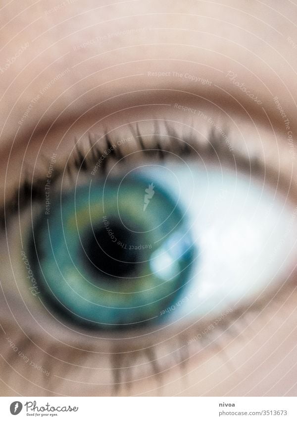 unscharfes Detail eines Auges Wimpern blau grün Blick Blick in die Kamera Detailaufnahme 1 Pupille Gesicht Mensch Nahaufnahme Farbfoto Tag Haut Regenbogenhaut