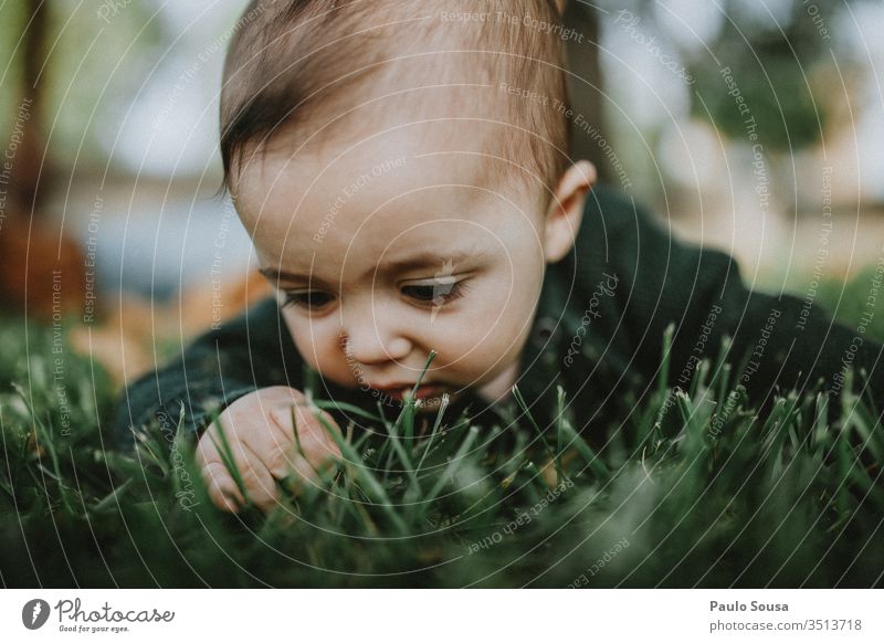 Nahaufnahme eines Babys, das Gras berührt Natur grün wild niedlich Porträt Säuglingsalter Lifestyle 0-12 Monate Kindheit Mensch Farbfoto schön Fröhlichkeit