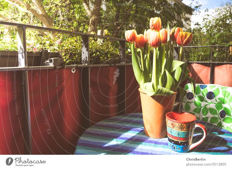 Blumenvase und Kaffeetasse auf dem Balkon Tulpen Sonne bunt Tisch Tischdecke grün Frühling Menschenleer Farbfoto Blumenstrauß