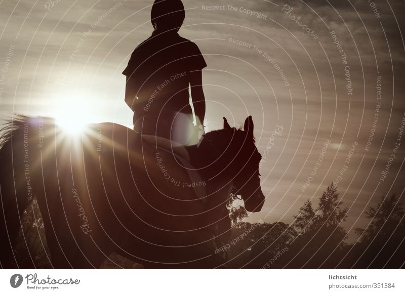 Lucy Luke Freizeit & Hobby Reiten Reitsport Mensch feminin 1 Natur Landschaft Himmel Wolken Horizont Sonne Sonnenaufgang Sonnenuntergang Schönes Wetter Baum