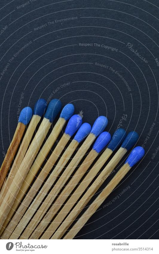 konform | Streichhölzer mit unterschiedlich blauen Köpfen auf schwarzem Untergrund Streichholz anzünden Feuer Sammlung Muster Freifläche nebeneinander