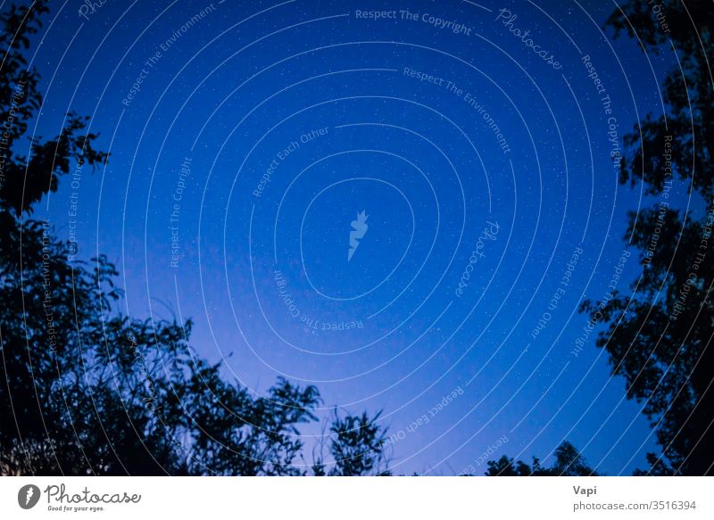 Nachtdunkelblauer Himmel im Wald Stern Bäume Raum Weg milchig Hintergrund Galaxie sternenklar Astronomie Weltall Nebel Sternbild Natur Schmuckkörbchen