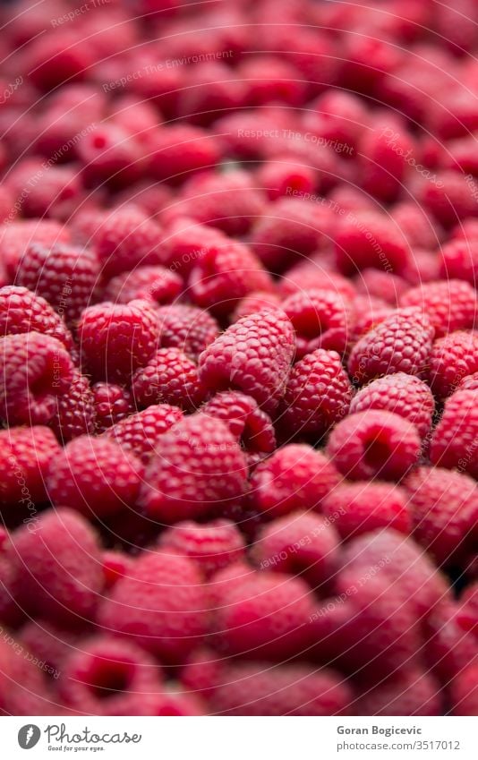 Ansicht eines Himbeerhaufens als texturierter Hintergrund Himbeeren Frucht Lebensmittel saftig Beeren Gesundheit rot reif Dessert süß Diät frisch viele
