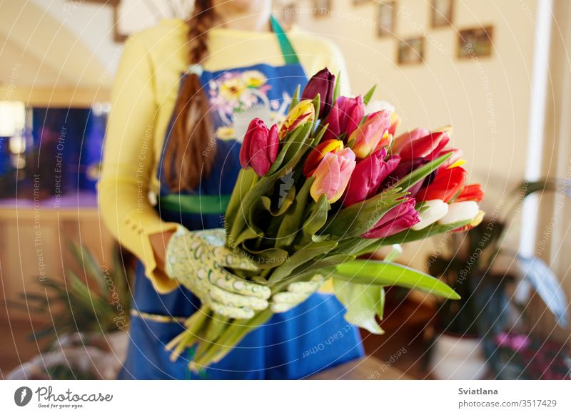 Der Verkäufer hält einen großen schönen Tulpenstrauß verpackt. Seite wiev Blumenstrauß Hände Papier Art rosa Verpackung geblümt Marktschere Frühling Handschuhe