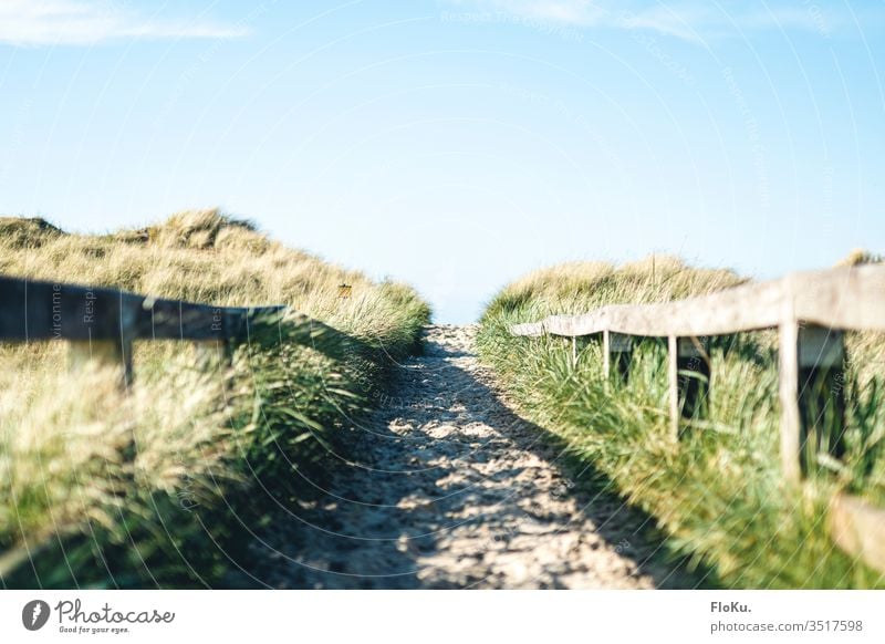 Wanderweg durch die Dünen in Sankt Peter-Ording Nordsee Nordseeküste strand landschaft pfad wanderweg sand düne dünenlandschaft geländer gras natur urlaub