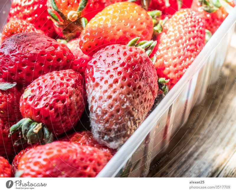 Faule Erdbeeren in Plastikbehälter Bakterien schlecht Beeren biologisch Nahaufnahme Verwesung Lebensmittel Frucht pilzartig Pilze Müll Makro Schimmelpilz