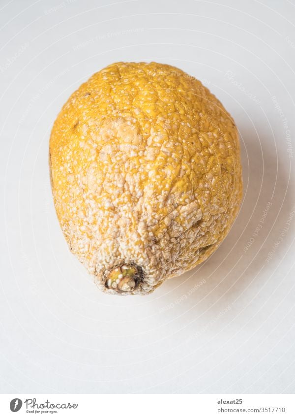 Faule Zitrone auf weißem Hintergrund schlecht Zitrusfrüchte Nahaufnahme Verwesung essen Öko Lebensmittel Frucht pilzartig Pilze vereinzelt Schimmelpilze