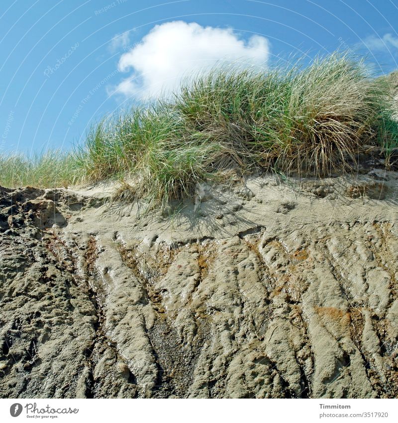 Eine wasserlassende Düne Dünengras Sand Natur Himmel Nordsee Dänemark Menschenleer Feuchtigkeit Wasser Rinnsal Spuren Wolken blau grün weiß braun