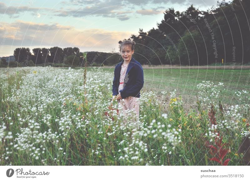 mädchen steht in einer blumenwiese in der natur Kind Mädchen Wiese Natur Blumenwiese Feld Acker auf dem Land Landschaft Sommer Frühling Gras Außenaufnahme