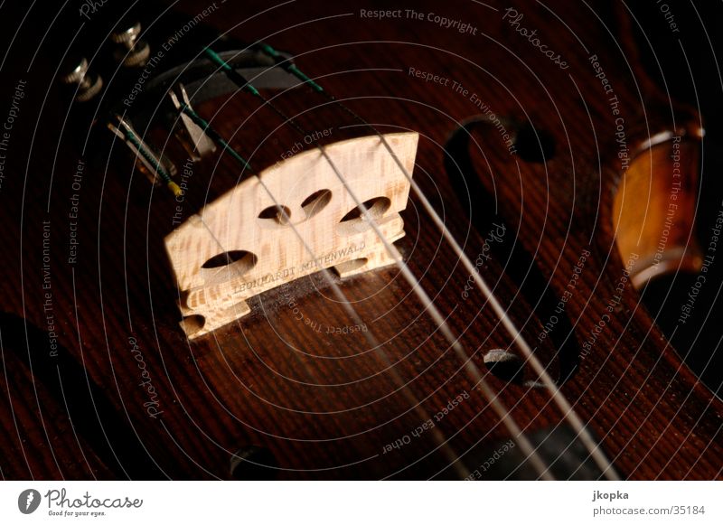 Geige Detail 2 Musik Konzert Orchester Musikinstrument elegant braun schwarz Klassik Studioaufnahme Detailaufnahme Makroaufnahme Menschenleer Schatten Low Key