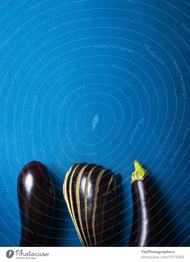 Bio-Auberginen auf blauem Tisch. Auberginenernte. Frisches Gemüse 3 Nachtschattengewächs obere Ansicht landwirtschaftlich Ackerbau Herbst brinjal
