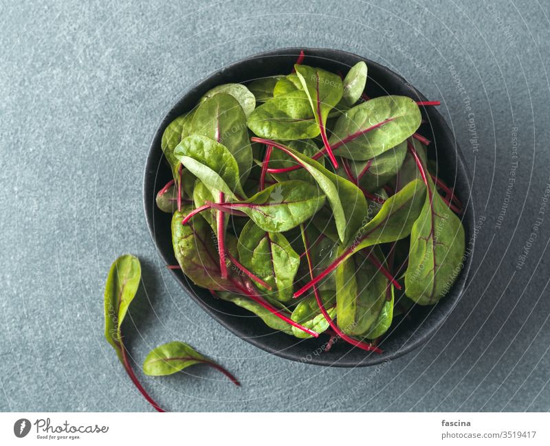 Frischer Salat aus grünen Mangoldblättern oder Mangold Rübe Blätter Salatblätter Hintergrund Salatbeilage Draufsicht Lebensmittel frisch organisch Pflanze