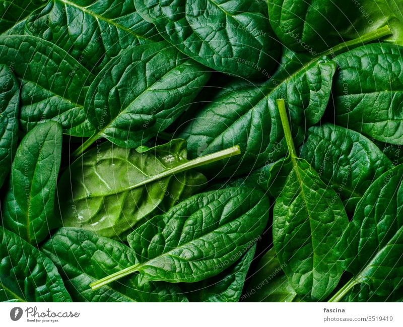Muster von Babyspinat Spinat Rahmen flache Verlegung frisch grün Blätter Top Ansicht legen Hintergrund Gesundheit Blatt Pflanze Gemüse Lebensmittel Diät Frische