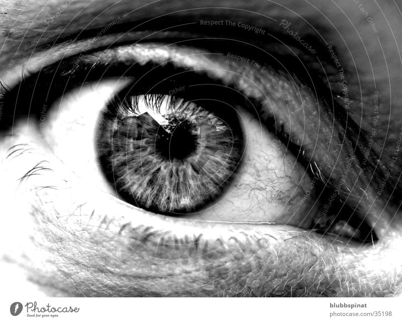 Anjas Eye Pupille Frau Auge Detailaufnahme Makroaufnahme Schwarzweißfoto Regenbogenhaut Blick in die Kamera Wimpern Frauenaugen