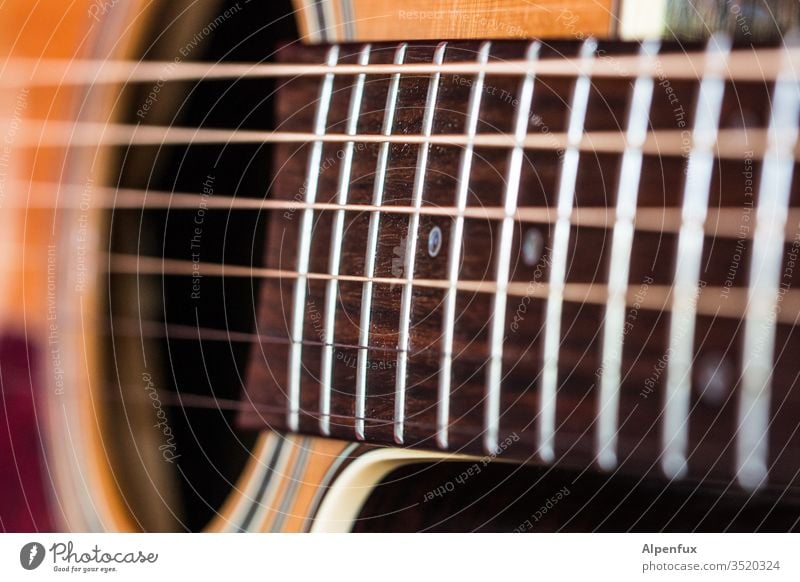 Gerät für | Dreiklang Gitarre Musik Saite Musikinstrument Makroaufnahme Saiteninstrumente Nahaufnahme akustisch Klang musizieren Schwache Tiefenschärfe