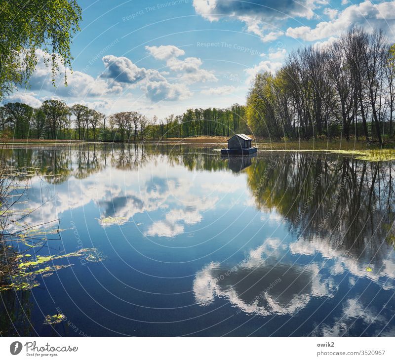 Wasserstand See Seeufer Himmel Wolken Horizont Hausboot Wasseroberfläche Spiegelbild Reflexion & Spiegelung Bäume Natur Landschaft Menschenleer Außenaufnahme