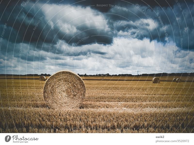 Aufgerollt Feld Landwirtschaft abgeerntet Stoppelfeld Strohballen Rolle aufgerollt Ernte Himmel Wolken dramatisch Landschaft Getreide Außenaufnahme Herbst