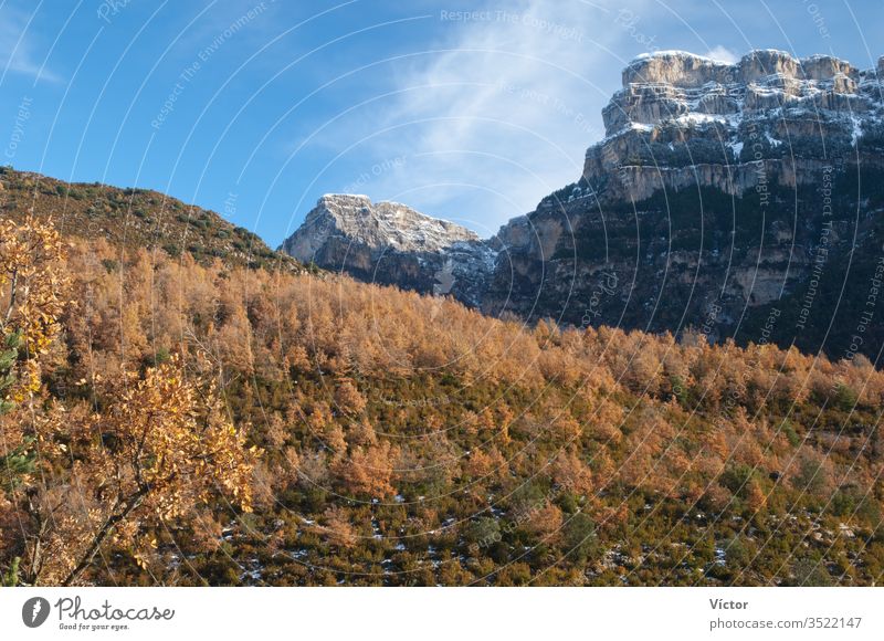Das Vio-Tal und die Sestrales (Nationalpark Ordesa und Monte Perdido). Die Pyrenäen. Huesca. Aragonien. Spanien. aragonisch Herbst Klippe Klippen Farbe Farben