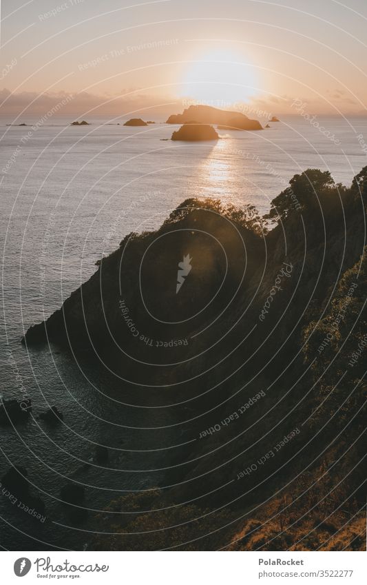#AS# Meer trifft Sonne Sonnenaufgang Klippe Steilküste Felsen Meereslandschaft Neuseeland Schein nachdenklich träumen Paradies Wasser Reflexion & Spiegelung