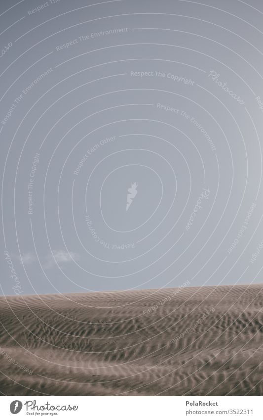 #AS# WüstenWind wüstenlandschaft wüstensand Wüste Gobi Sandstrand Sandsturm karg trostlos ruhen Ruhe Idylle Sommer Hitze Klima Hitzewelle Düne Landschaft