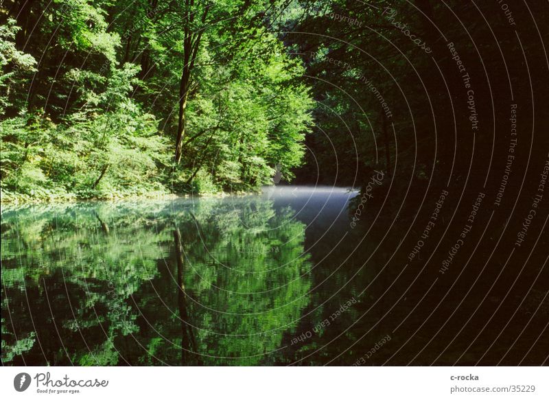 reflektion grün Spiegel Nebel Quelle Kroatien Umweltschutz Wasser Reflektion Reflexion & Spiegelung Fluss ursprünglich