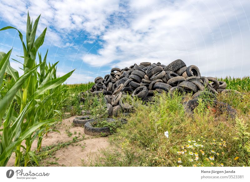 Alte kaputte Autoreifen, die sich in einem Maisfeld zu einem Berg auftürmen schwarz blau gebrochen PKW Beschädigte dreckig Umwelt Bauernhof Feld Müll gren