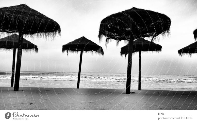 Strohschirme am Strand Schwarzweißfoto Schirm Schirme Sand Meer Wasser Urlaub schwarz weiss Ferien & Urlaub & Reisen Außenaufnahme Wellen Menschenleer Tourismus