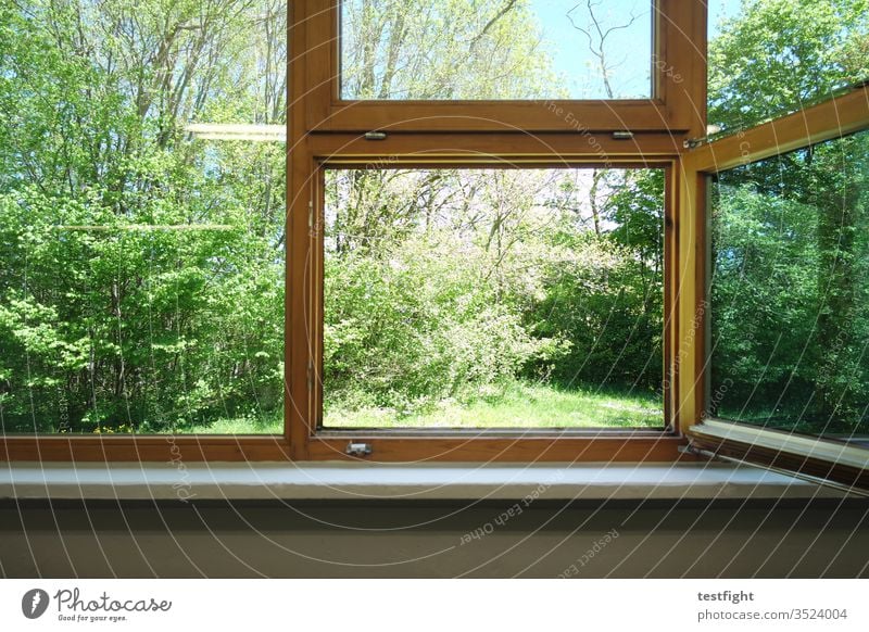offenes Fenster Licht Luft frische Luft Sonne Wärme lüften Glas Garten Wiese Natur Bäume Sträucher ausblick Holzfenster geöffnet Sonnenlicht gutes Wetter