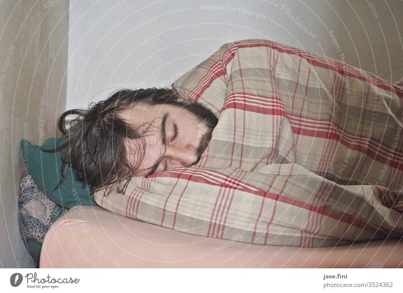 Murmeltier liegenbleiben Morgen Müdigkeit aufschieben Häusliches Leben Student Junger Mann Bett Schlafzimmer Wohnung schlafen dösen Faulheit träumen entfliehen