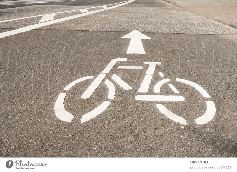 weißes Fahrradsymbol und Pfeil auf einer Fahrbahn Symbol Fahrradweg Straße Richtung Verkehrszeichen Verkehrssymbol Schilder & Markierungen Fahrbahnmarkierung