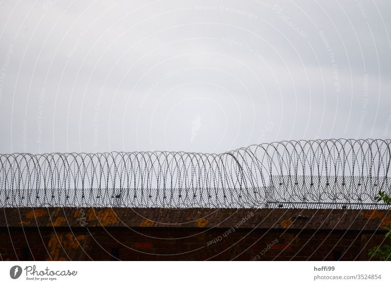 Stacheldraht auf Mauer einer JVA Stacheldrahtzaun Justizvollzugsanstalt Gefängnis Zaun Barriere Freiheit gefährlich Grenze bedrohlich Sicherheit Schutz Metall