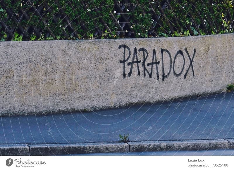 Paradox - Graffiti an einer Mauer, darüber Lattenzaun und grün Wand Straße Gehweg Bürgersteig Zaun Vorstadt Tristesse Stadt urban Außenaufnahme Menschenleer Tag