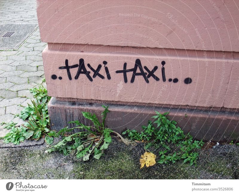 Inzwischen liegend ein Taxi herbeisehnen Schriftzeichen Graffiti Hausecke Mauer warten Fassade Buchstaben Zeichen Menschenleer Außenaufnahme Löwenzahn