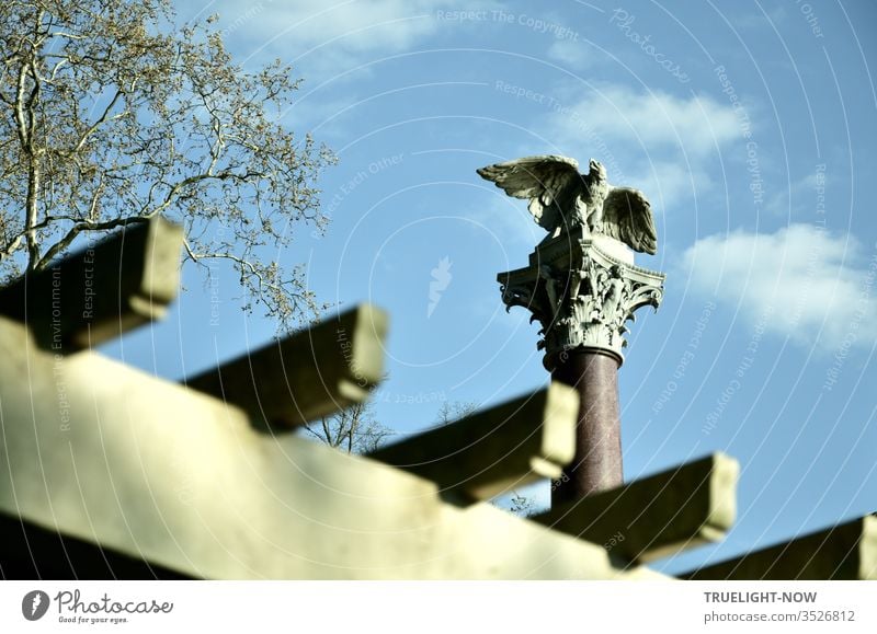 Über den Balken einer Pergola auf einer Marmorsäule mit verziertem Kapitell sitzt eine Adler Skulptur mit ausgebreiteten Flügeln und offenem Schnabel; teilweise ist auch eine Baumkrone zu sehen - alles vor blauem Himmel mit einigen weißen Wolken