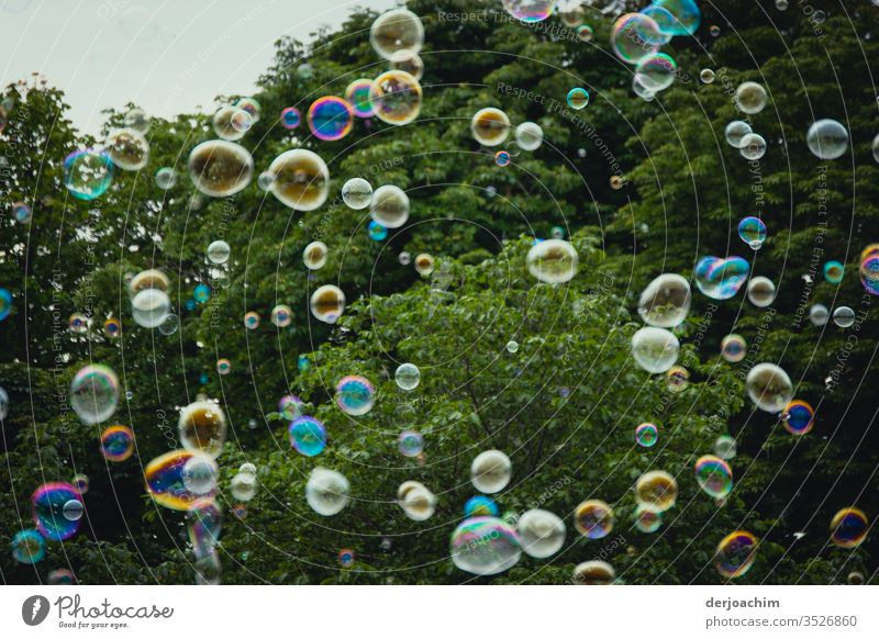 Seifenblasen schweben überall , in vielen Farben.Im Hintergrund  sind Sträucher. Außenaufnahme Farbfoto Tag Menschenleer Himmel Sommer Schönes Wetter
