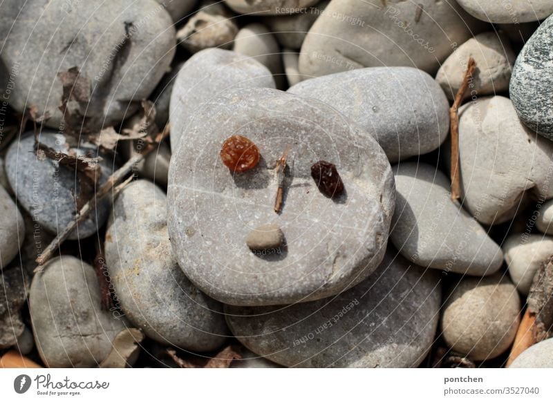 Steine. Ein Stein hat ein Gesicht aus Rosinen und ästchen. Humor gesicht rosinen äste augen mund nase niedlich spielen Grau Außenaufnahme phantasiefigur