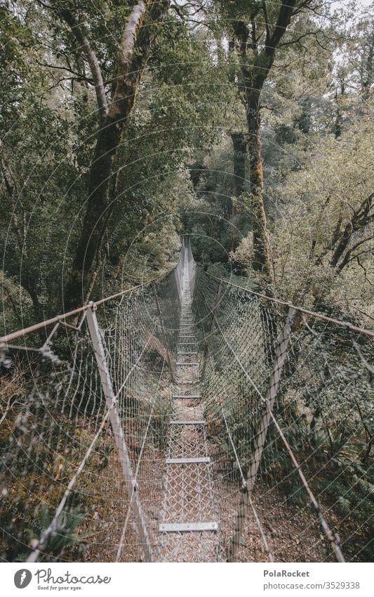 #AS# Brücke mal anders Hängebrücke mutig Menschenleer hängen Abenteuer Dschungel Außenaufnahme wandern Wanderer Ausweg Einbahnstraße Zukunft Zukunftsangst eng