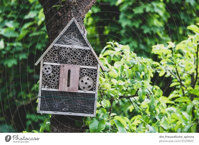 Bienenhotel im Garten Wespe Hummel Insekt Sommer Tier Blume fliegen Natur Flügel Unterkunft Baum Idylle Außenaufnahme grün Schwache Tiefenschärfe Haus