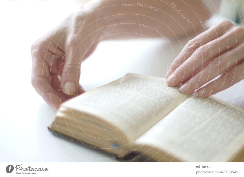 Lesen in der Bibel. Feingliedrige Hände blättern in einem Buch. lesen Heilige Schrift Glaube Religion Christentum Reinheit Wissen feingliedrig Literatur