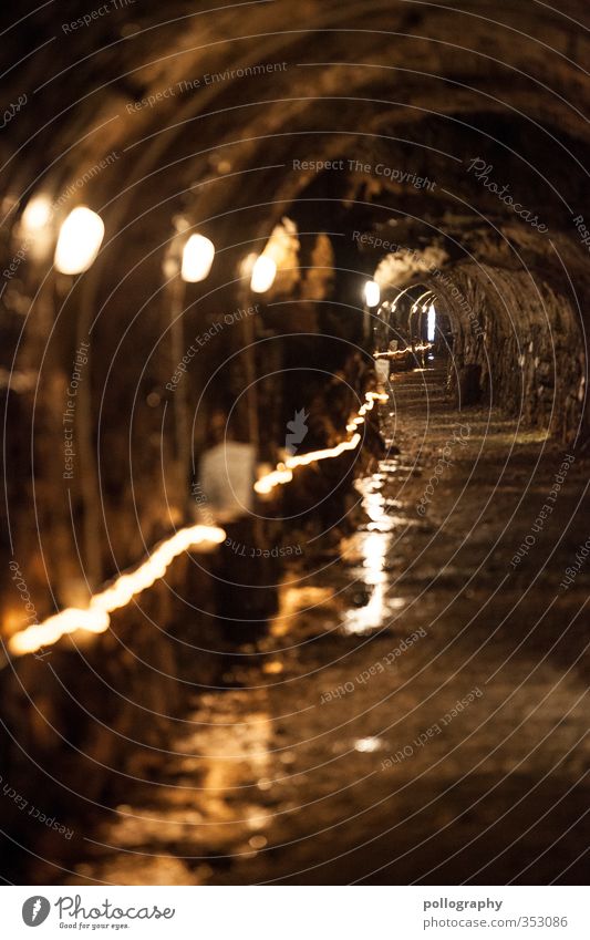 immer den Lichtern entlang Natur Erde Sand Wasser Hügel Felsen Alpen Abenteuer Tunnel Tunnelbeleuchtung Bergbau Gang unterirdisch Wege & Pfade Richtung Lampe