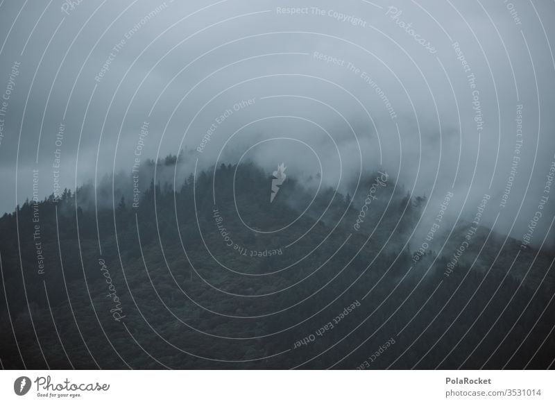 #As# Nebellande Nebelschleier Nebelstimmung Nebelbank Nebelmeer Nebelwand Nebelwald Nebelfeld Außenaufnahme Menschenleer Natur Farbfoto Tag Neuseeland