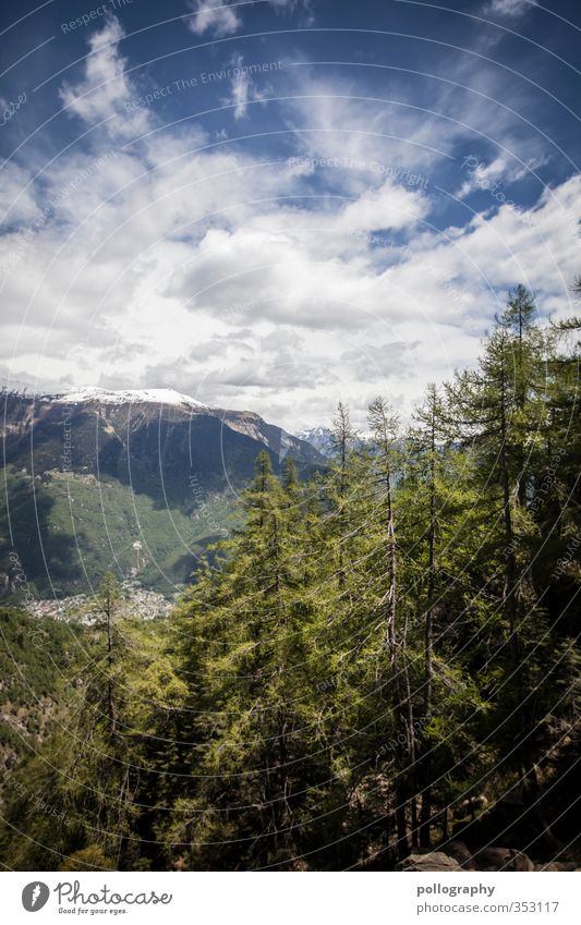 diverse nature 5 Umwelt Natur Landschaft Pflanze Luft Himmel Wolken Sommer Schönes Wetter Baum Wiese Hügel Felsen Alpen Berge u. Gebirge Gipfel Abenteuer